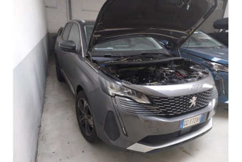 2021 Peugeot 3008, Dyzelinas